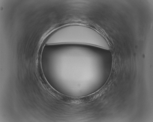 X0000082960344200702011118