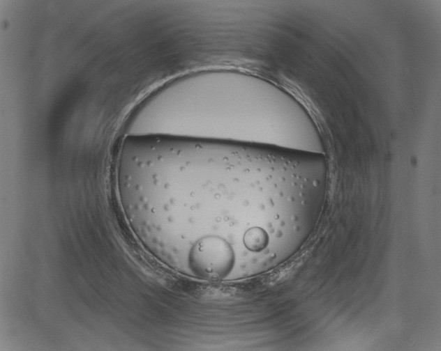 X0000082960346200702011118