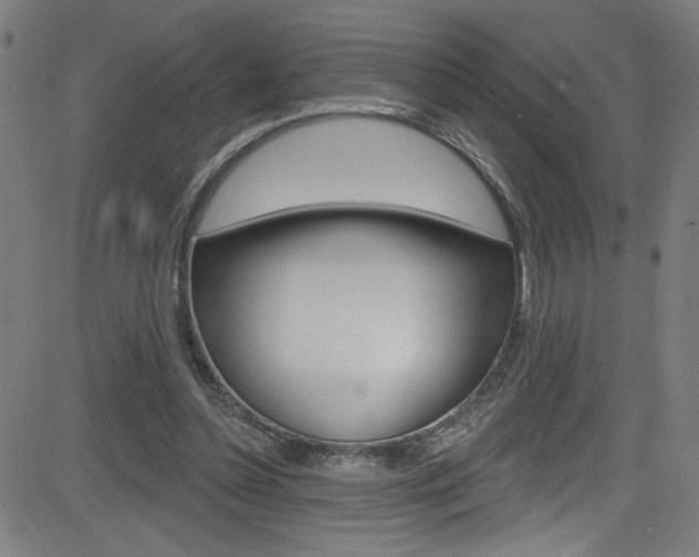 X0000082960348200702011118