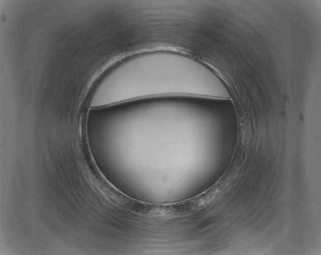 X0000082960350200702011118