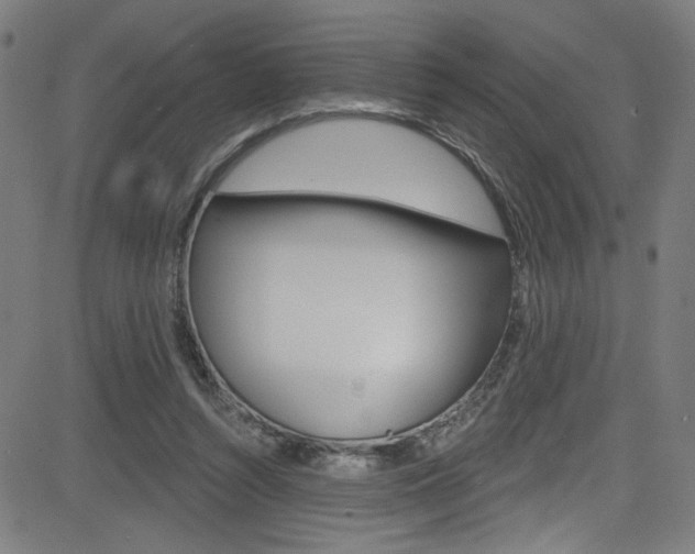X0000082960352200702011118