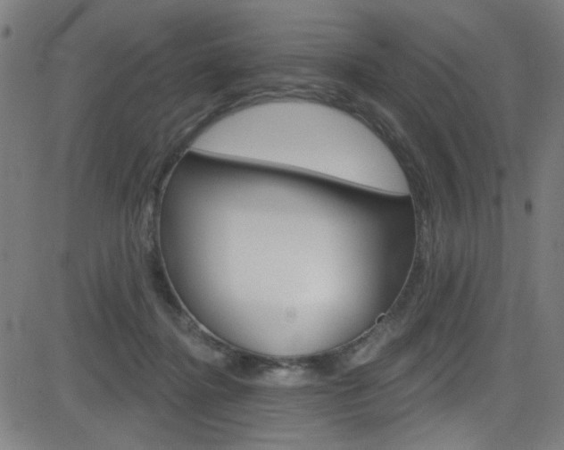 X0000082960364200702011118