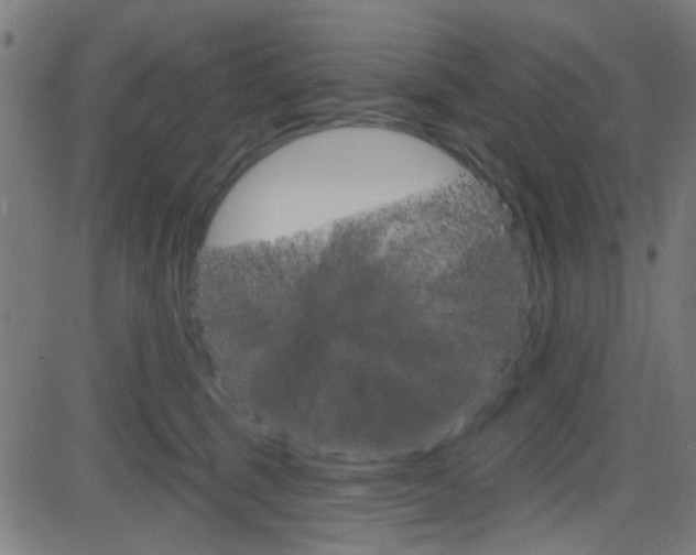 X0000082960375200702011119