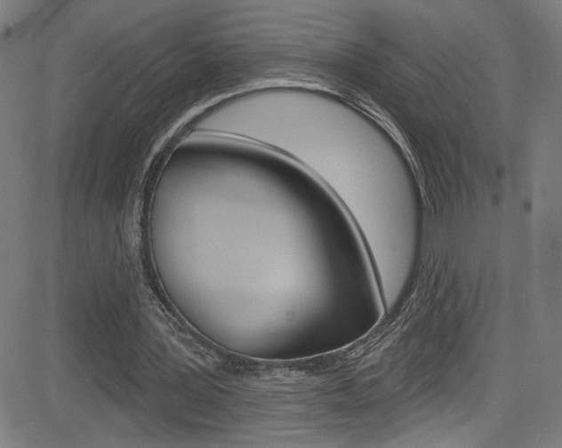 X0000082960387200702011118