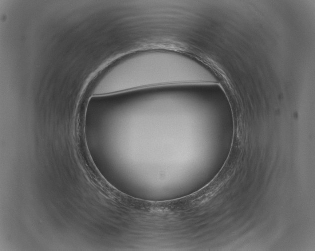 X0000082960388200702011118