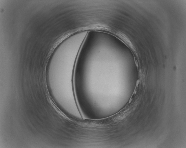 X0000082960389200702011118