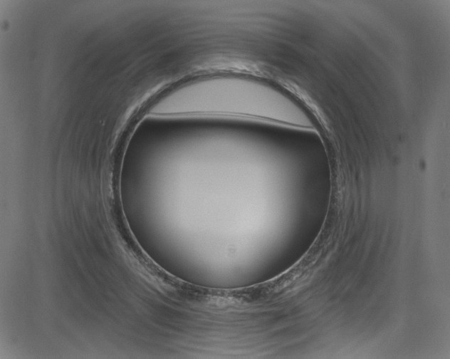 X0000082960399200702011118
