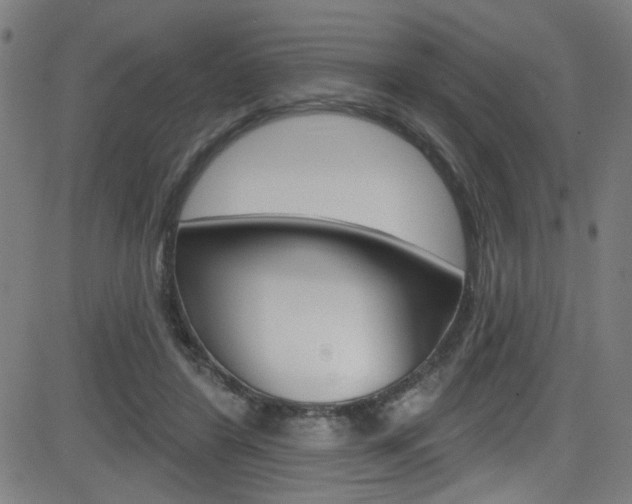 X0000082960404200702011118