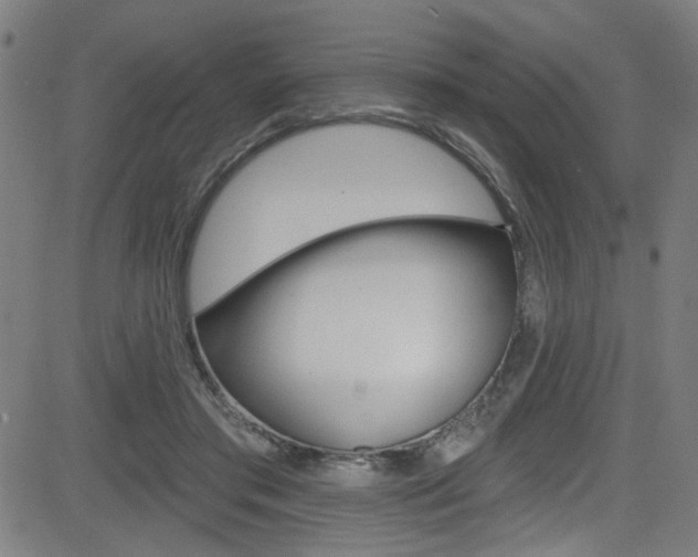 X0000082960405200702011118