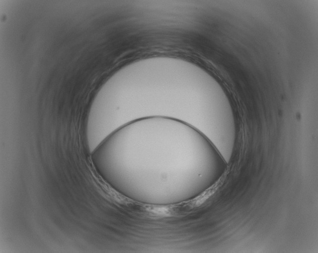 X0000082960409200702011118