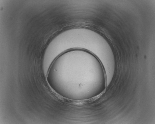 X0000082960411200702011118