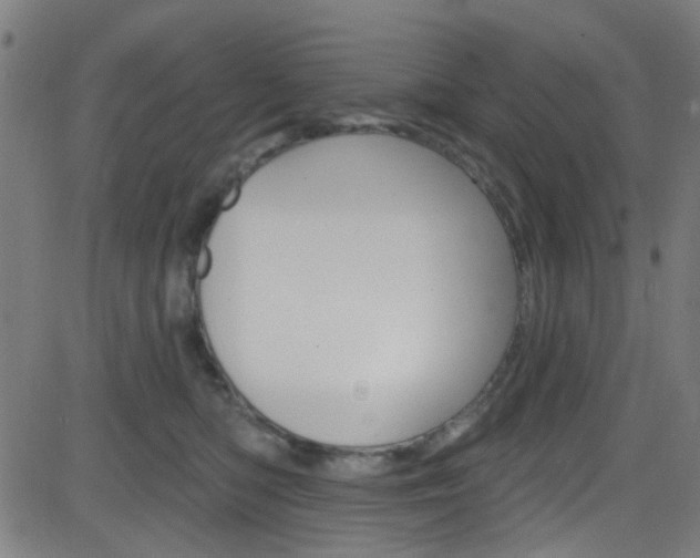 X0000082960422200702011117