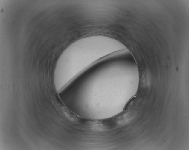 X0000082960424200702011117