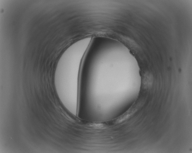 X0000082960428200702011117