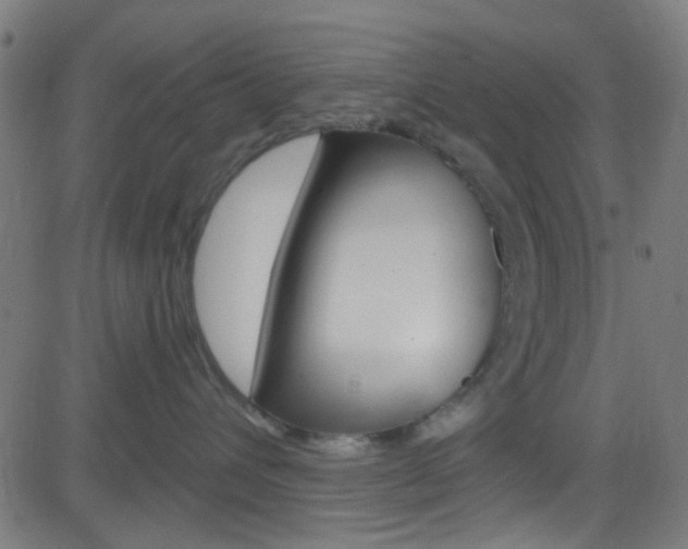 X0000082960432200702011117