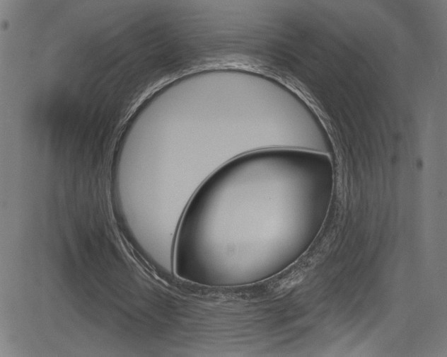X0000082960434200702011116