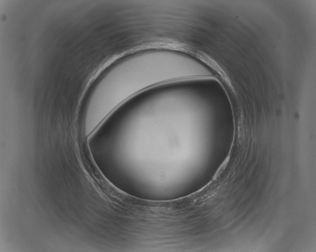 X0000082960436200702011117