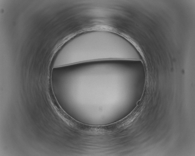 X0000082960437200702011117