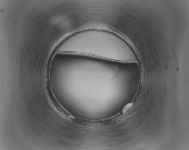X0000082960438200702011117