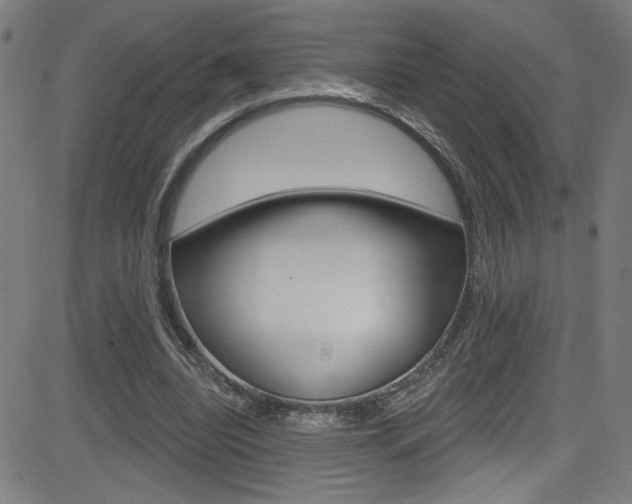 X0000082960440200702011117