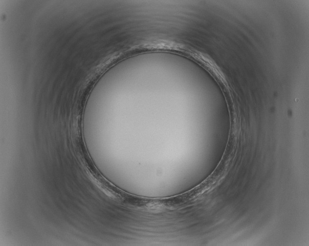 X0000082960441200702011117