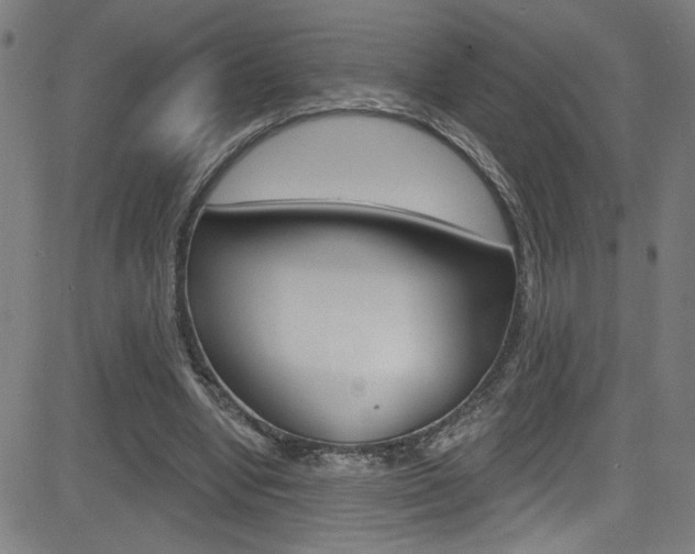 X0000082960442200702011117