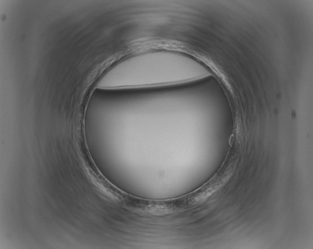 X0000082960445200702011117