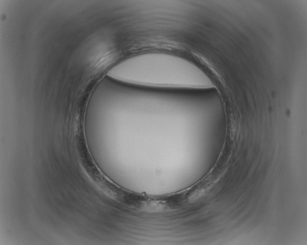 X0000082960451200702011117