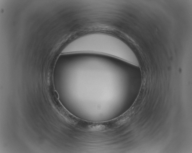 X0000082960452200702011117