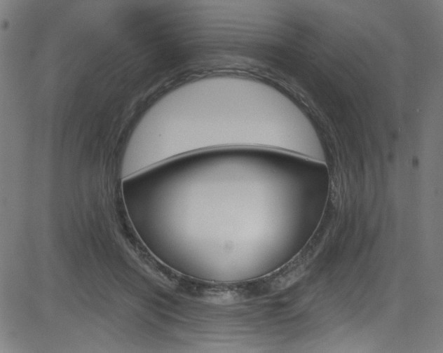 X0000082960454200702011117