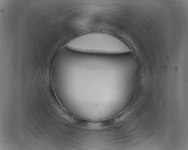 X0000082960457200702011117