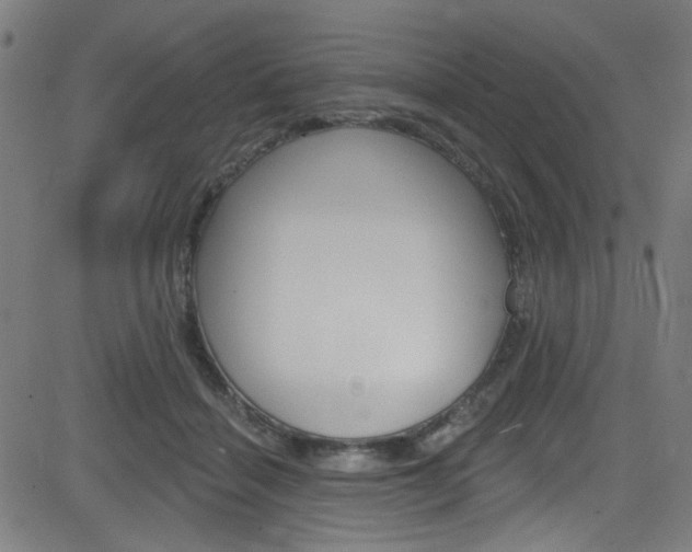 X0000082960460200702011117