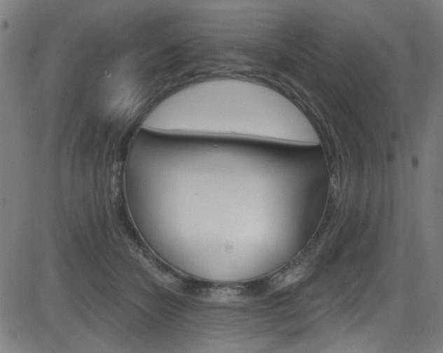 X0000082960462200702011117