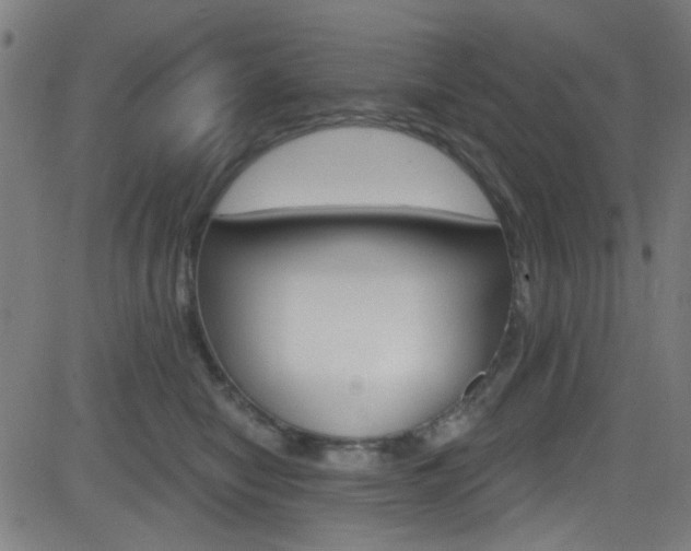 X0000082960470200702011117