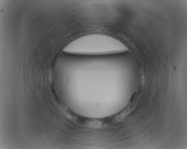 X0000082960471200702011117