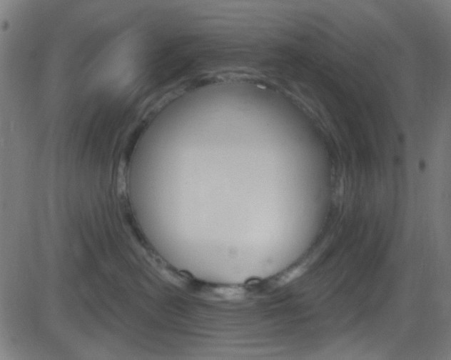 X0000082960478200702011117