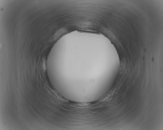 X0000082960479200702011117