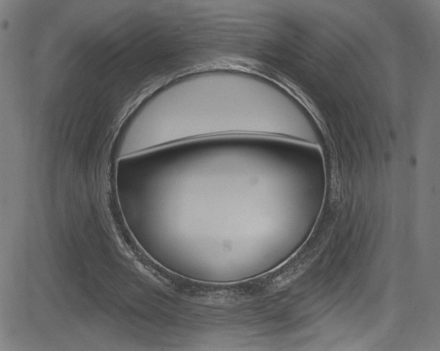 X0000082960485200702011116