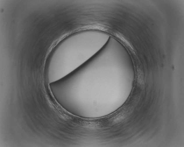 X0000082960486200702011116