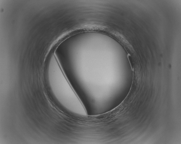X0000082960488200702011116