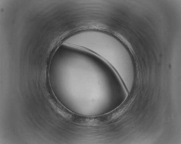 X0000082960493200702011116