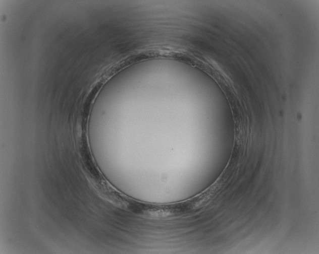 X0000082960500200702011116