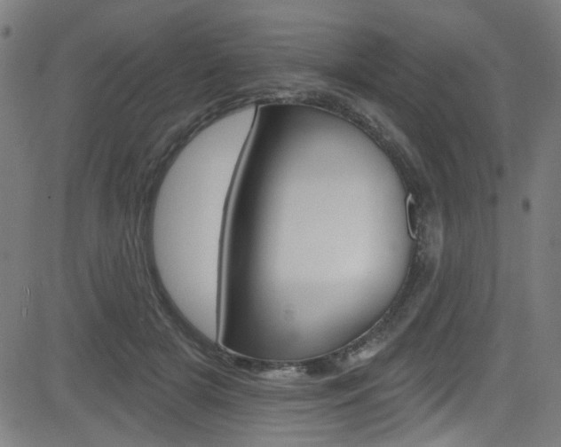 X0000082960505200702011116