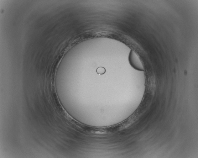 X0000082960506200702011116