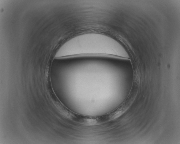 X0000082960509200702011116