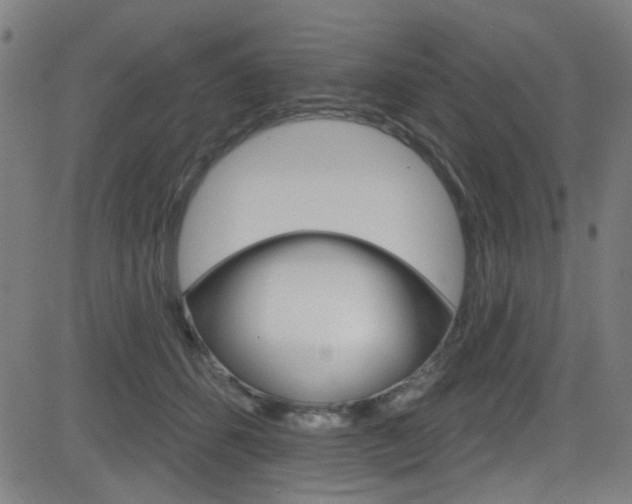 X0000082960512200702011116