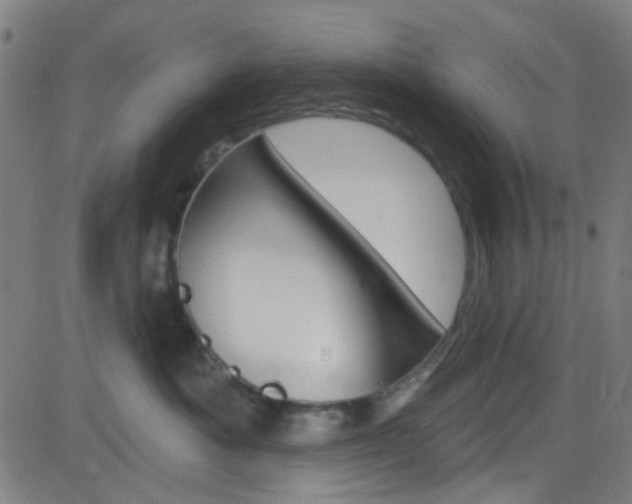 X0000082960525200702011116