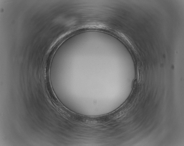 X0000082960531200702011115