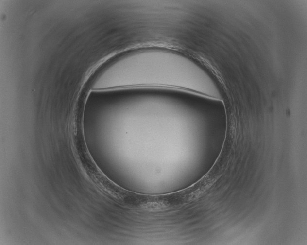 X0000082960536200702011115