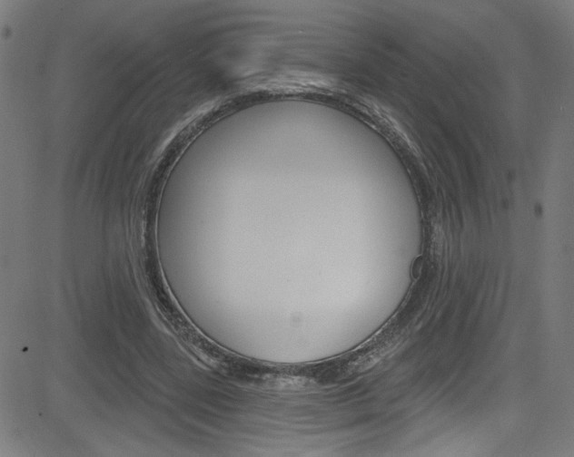 X0000082960539200702011115